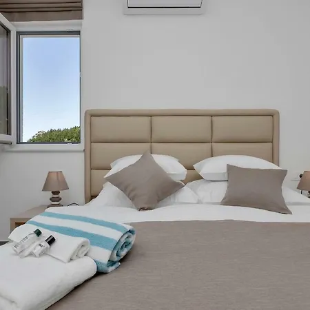 Violet With Salt Water Pool Villa Makarska